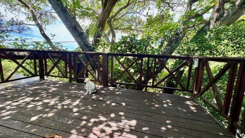 4 Bedroom Property for Sale in Bonza Bay Eastern Cape